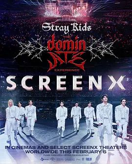 Stray Kids：主宰一切的体验